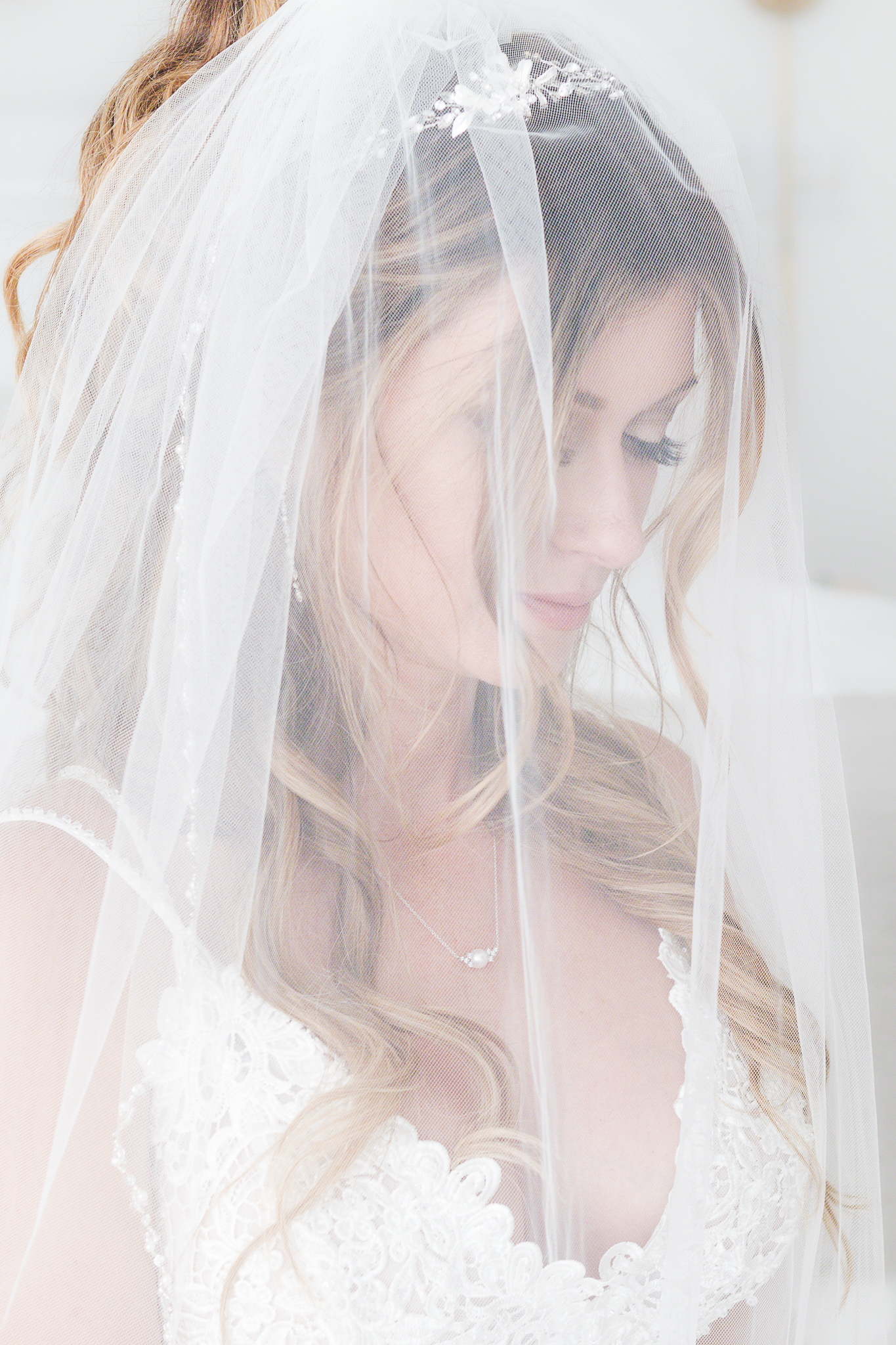 Bride under flowing white veil with soft lighting, bridal portrait by Weddings by Wendi